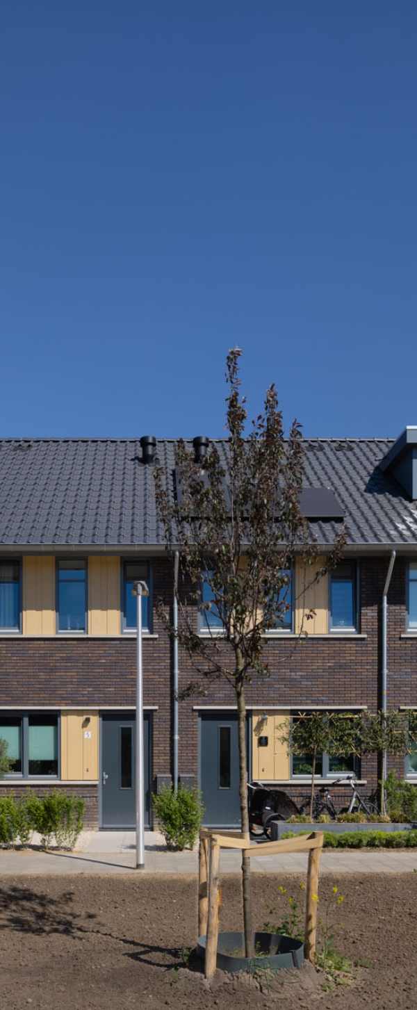Elzenbos Brummen