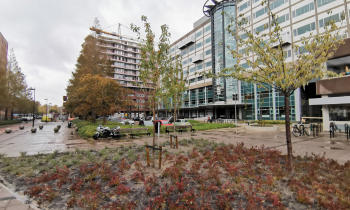 Colijnlaan Rijswijk