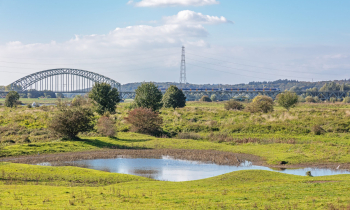 Stadsblokken Meinerswijk