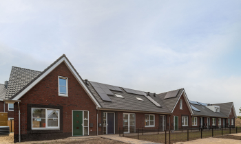 Dorpsweide Babberich