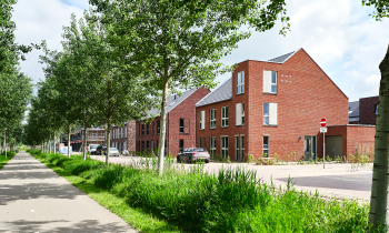 PLF86390-LR.jpg